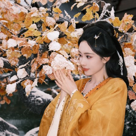 Meng Zi Yi
