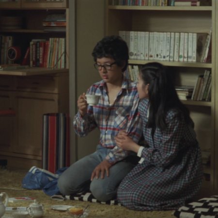 The Terrible Couple (1980)