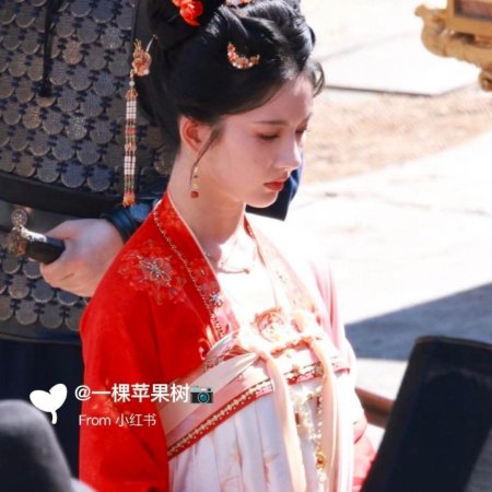 The Last Princess ()