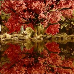 The Night Is Still Young Chinese Drama photo