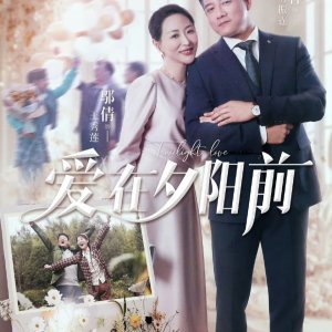 Twilight Love (2025)