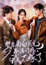 He Zong Wei Bai Yue Guang Qu Xiao Ding Hun, Wo Bu Jia Le Chinese Drama photo