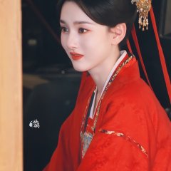 The Palace Stewardess Chinese Drama(0000) photo