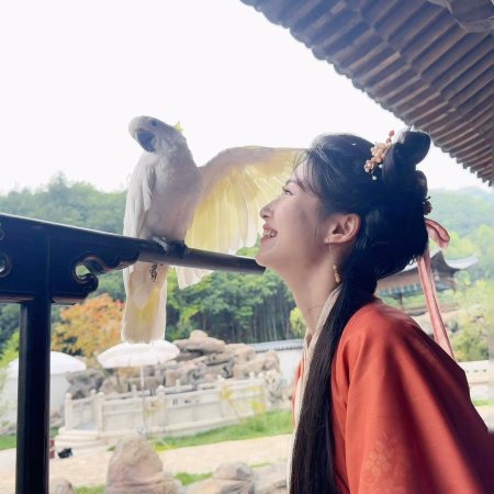 Lu Yu Xiao