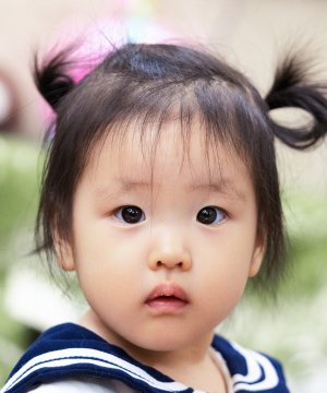 Jing Chu Yan