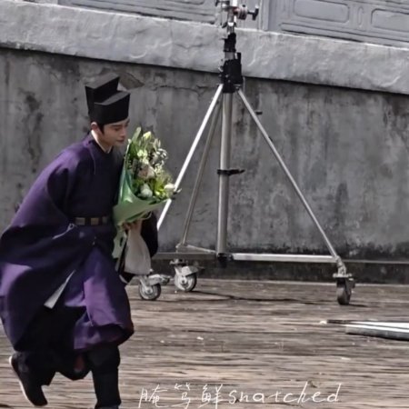 The Palace Stewardess ()