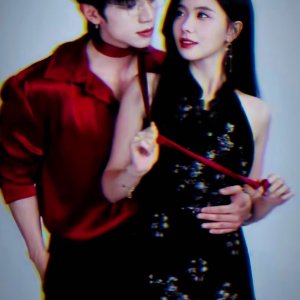 Proceed Gradually (2025)