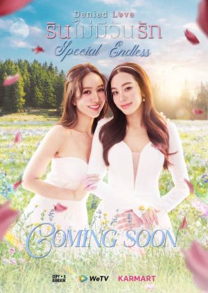Denied Love Special Endless (0000) poster