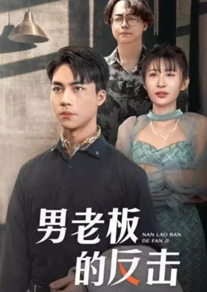 Nan Lao Ban De Fan Ji (2024) poster
