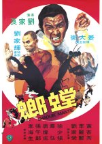Shaolin Mantis Hong Kong Movie photo