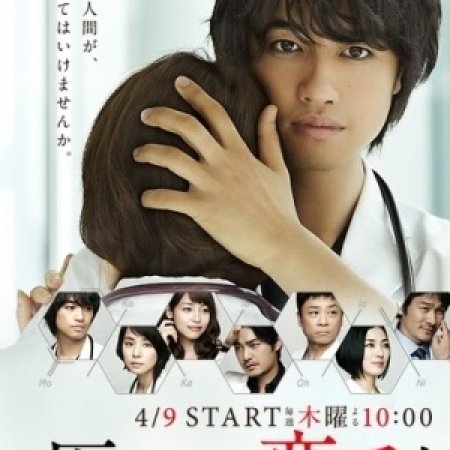 Kamisama no Boto  (2013)