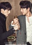 Goblin Special: Every Moment of It Shined korean special review