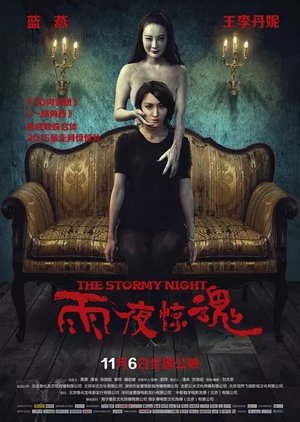 The Stormy Night (2015) poster