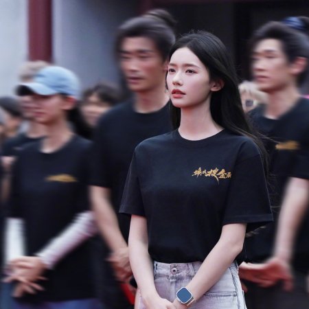Jin Yi Sou Jin Lu ()