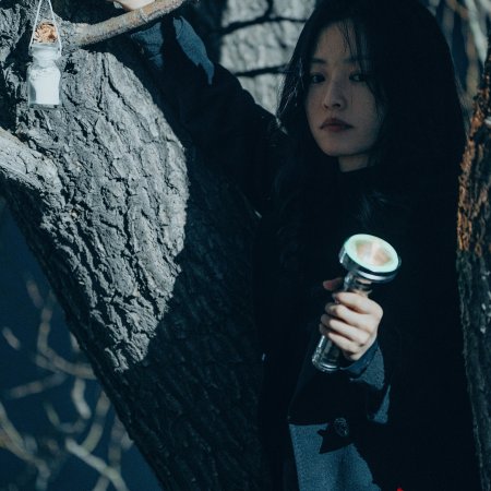 Once upon a Time in Longfan (2026)