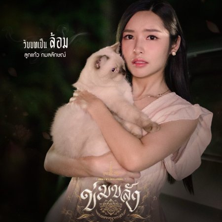 Lookkaew Kamollak Sangsubsin
