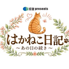 Hakaneko Nikki: Ano Hi no Tsuki Japanese Drama(2026) photo