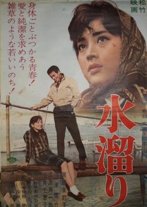 Pebbles in the Puddle (1961) poster