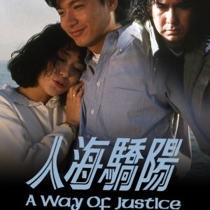 A Way of Justice (1991)