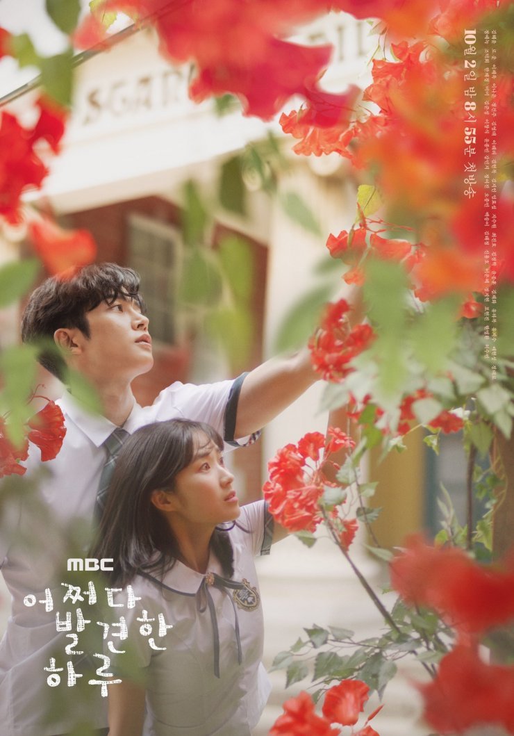 Extraordinary You (2019) - MyDramaList