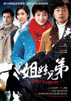 Two Families (2016) poster