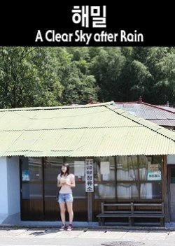 A Clear Sky After Rain (2010) poster