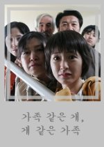 A Puppy, Our Family Korean Movie photo