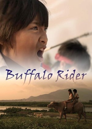 Buffalo Rider (2016) poster