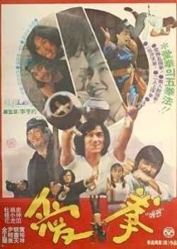 Aekwon Fighting Skill (1980) poster