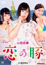 Pig in Love Japanese Movie photo