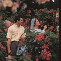 Behind The Painting Thai Movie photo