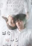 Watashi no Tadashi Oniichan japanese drama review