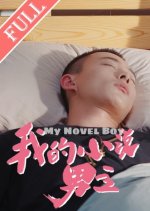Youths in the Breeze: My Novel Boy Chinese Drama photo