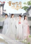 Hidden Revenge chinese drama review