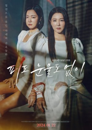 The Two Sisters (2024) poster