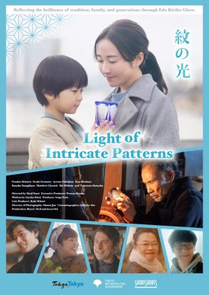 Light of Intricate Patterns (2024) poster