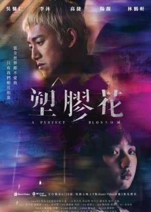 A Perfect Blossom (2024) poster