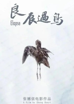 Elapse () poster