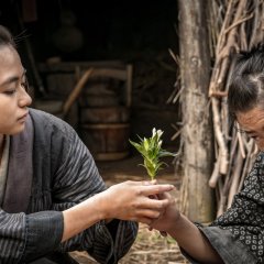 Mountain Woman Japanese Movie photo