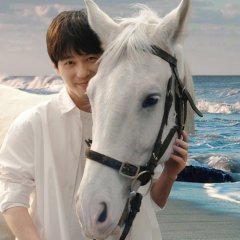 Post Truth Chinese Movie photo