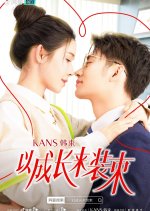 President's Laws of Love Chinese Drama photo