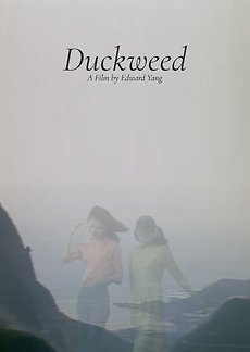 Duckweed (1981) poster
