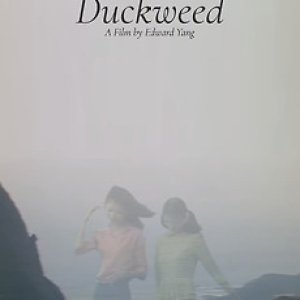 Duckweed (1981)