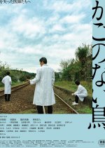 Kago no nai Tori Japanese Movie photo