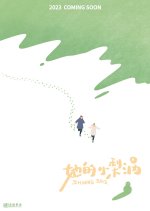 Shining Days Chinese Movie(0000) photo