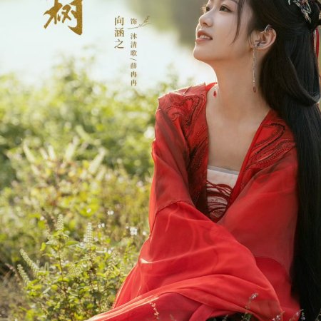 Xian Tai You Shu (2024)