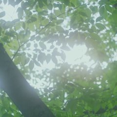 Chihayafuru Part 3 Japanese Movie photo