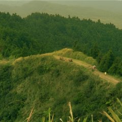 Knighthood Taiwanese Movie photo