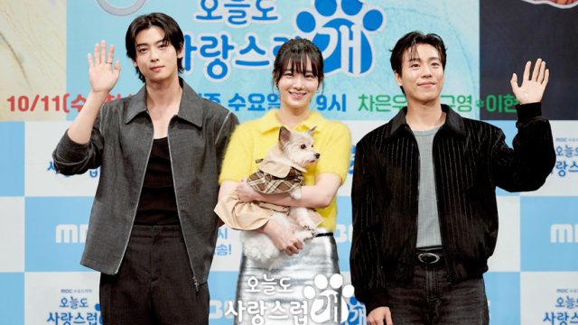 A Good Day to Be a Dog Episode 4 Trailer Teases Cha Eun Woo, Park Gyu  Young's Romance