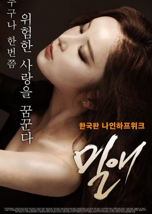 Affair (2014) poster